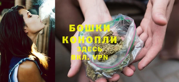 альфа пвп Няндома
