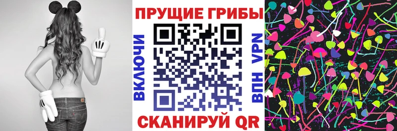 сколько стоит Боровск Псилоцибиновые грибы Psilocybe
